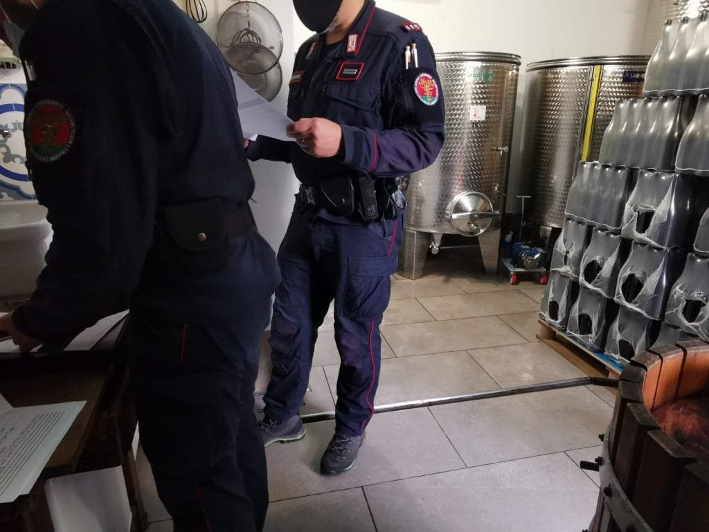 Cinque Terre e Sciacchetrà, controlli dei carabinieri sulla filiera: una sola sanzione amministrativa - cinque terre, sciacchetrà