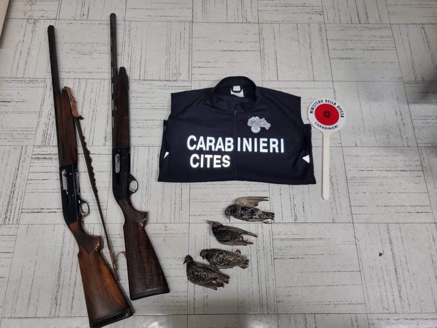 Caccia allo storno: denunciati due cacciatori e sequestrati due fucili - val di magra