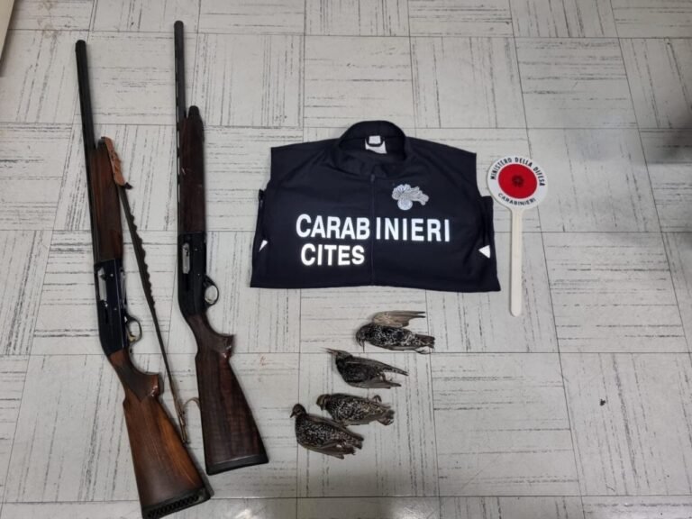 Caccia allo storno: denunciati due cacciatori e sequestrati due fucili Caccia allo storno: denunciati due cacciatori e sequestrati due fucili - val di magra