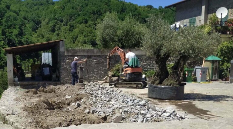 Castagnetoli, gli abitanti scrivono al sindaco Novoa per avere chiarezza sul rifacimento dell'aiuola del borgo - aiuola, castagnetoli