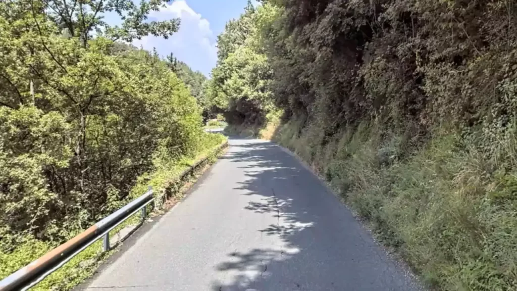 Viabilità: lavori di consolidamento lungo la Sp 10 a Piandimolino - lavori, piandimolino