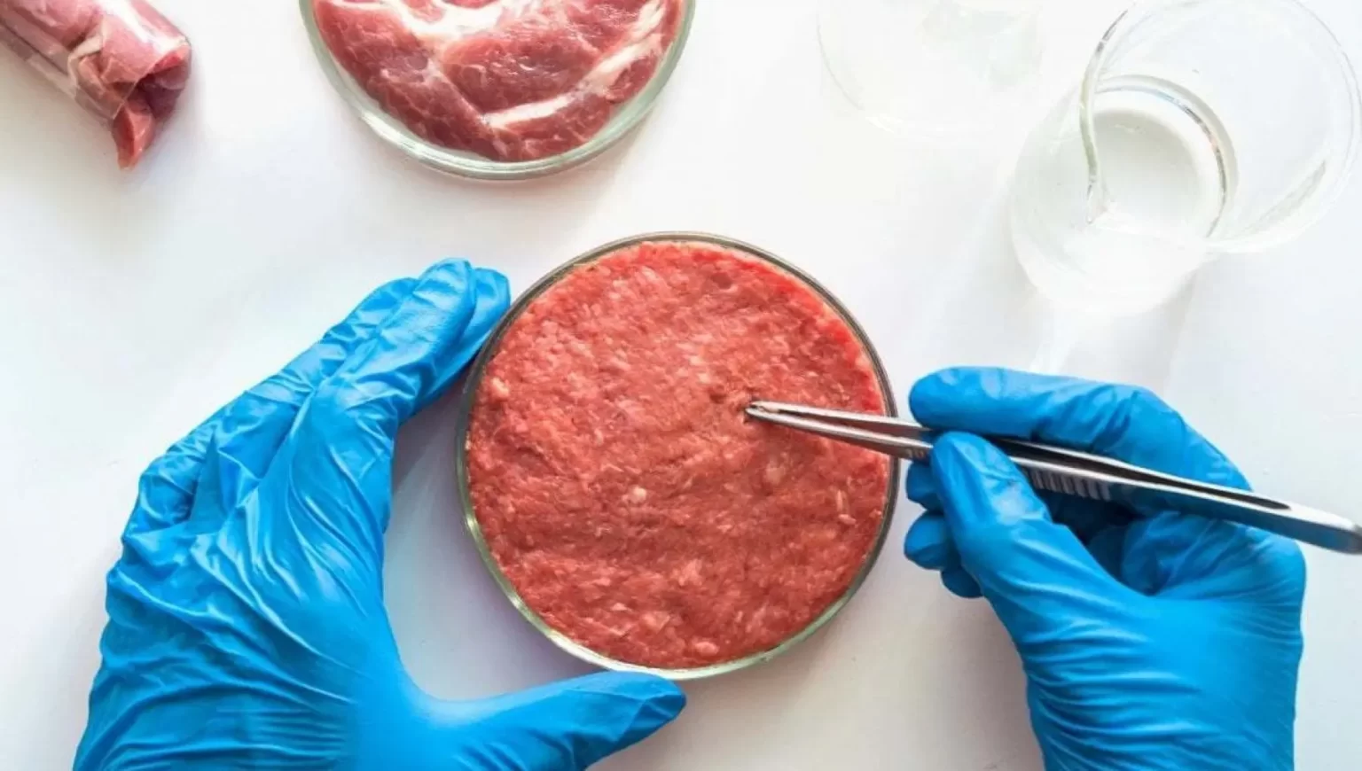 In provincia i comuni dicono no al cibo sintetico - cibo sintetico, coldiretti