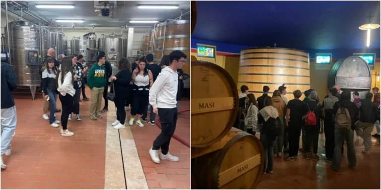 Gli studenti dell’Istituto Pacinotti Belmesseri in visita alle cantine Masi nel Valpolicella - pacinotti belmesseri, studenti