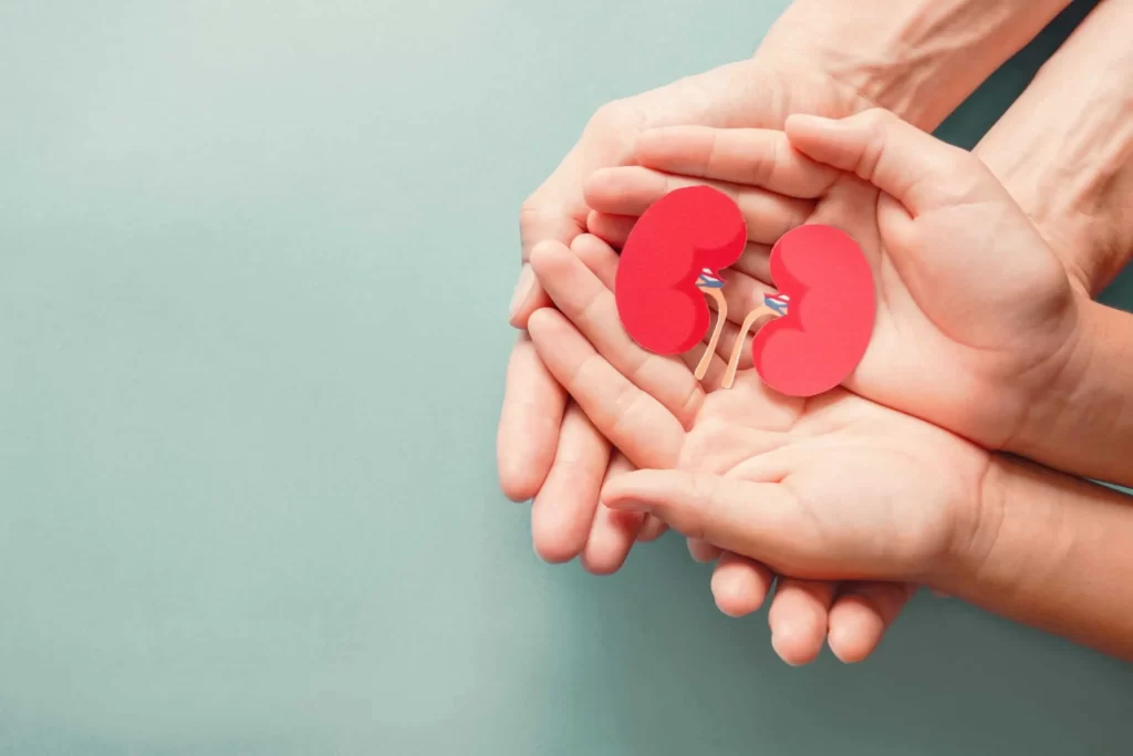 Giornata mondiale del rene: giovedì 9 marzo porte aperte in Nefrologia all'ospedale Apuane - massa, noa