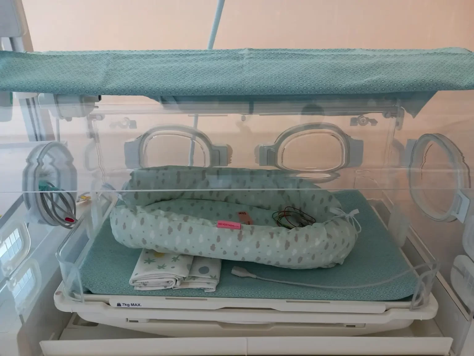 Pediatria dell’ospedale Apuane: una "donazione di coccole" dell'associazione non residenti di Marina di Massa - Associazione, noa