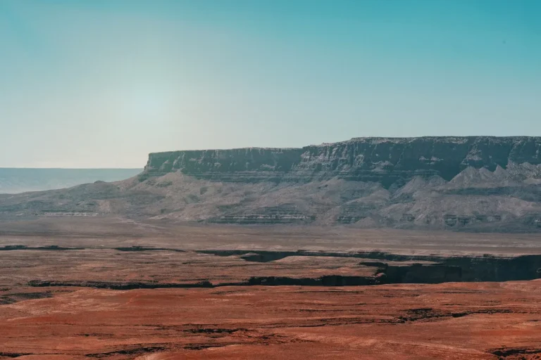 Aumento dei tassi: non siamo ancora al picco - aumenti, bce