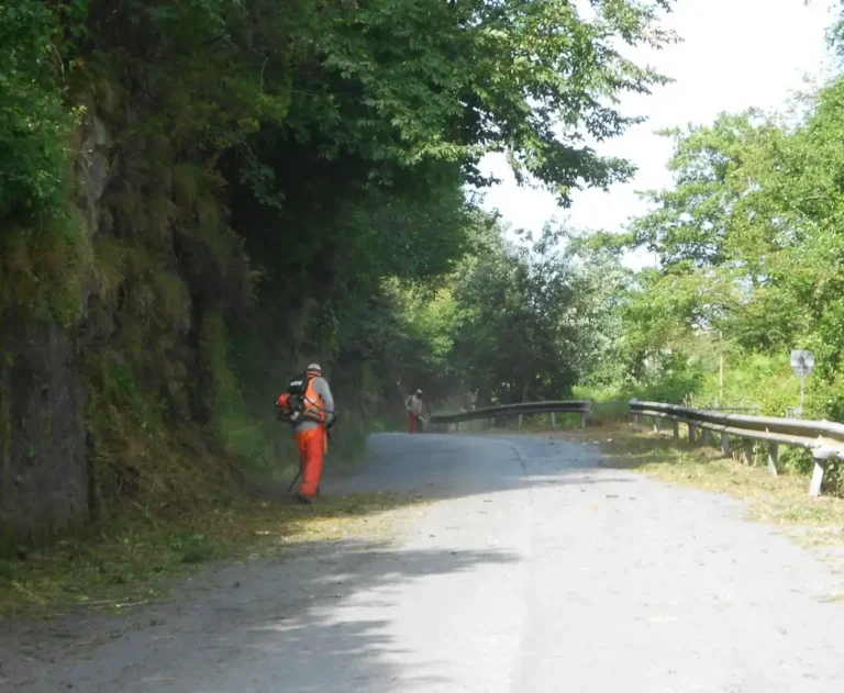 Viabilità: 288 mila euro per il taglio erba e vegetazione lungo le strade provinciali - erba, Massa Carrara