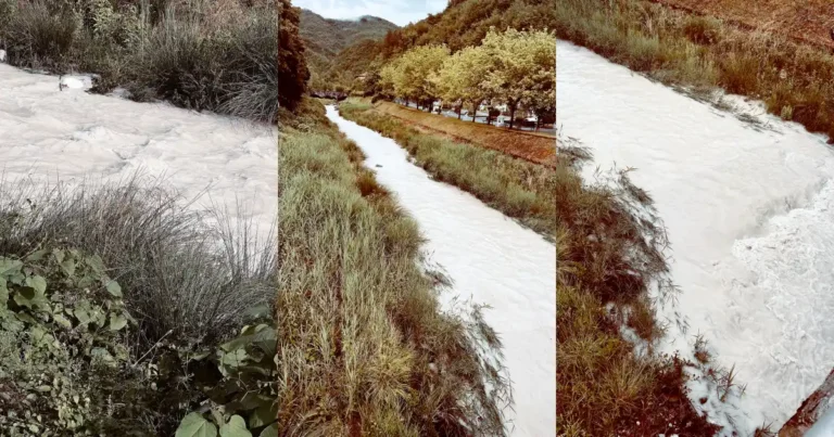 A Equi Terme il torrente Catenelle è inquinato dalla marmettola - equi terme, legambiente