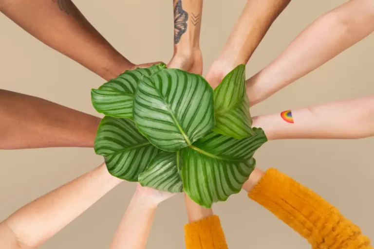 Servizio Civile Agricolo: tre posti per i giovani della Lunigiana - anci, lunigiana