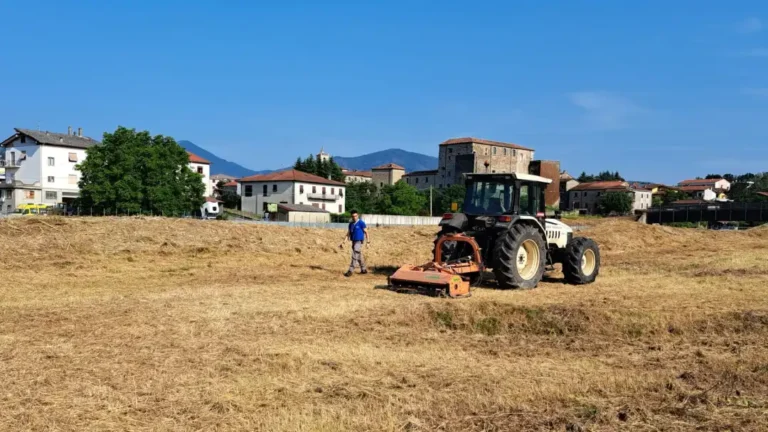 Pulizia dei fiumi, il sindaco Martelloni ringrazia per gli interventi svolti - martelloni