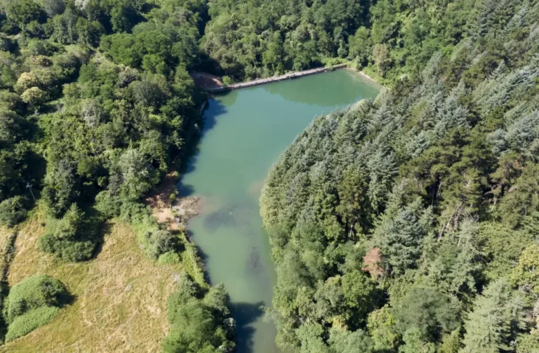 Consorzio di Bonifica, ottenuto un finanziamento per gli impianti irrigui “Bagnone – Villafranca”  - bagnone, bonifica