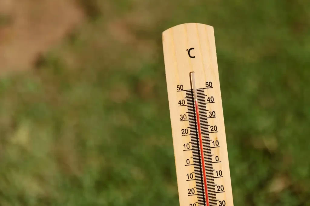 SdS Lunigiana: una rete di servizi per affrontare il grande caldo  - grande caldo, sds lunigiana