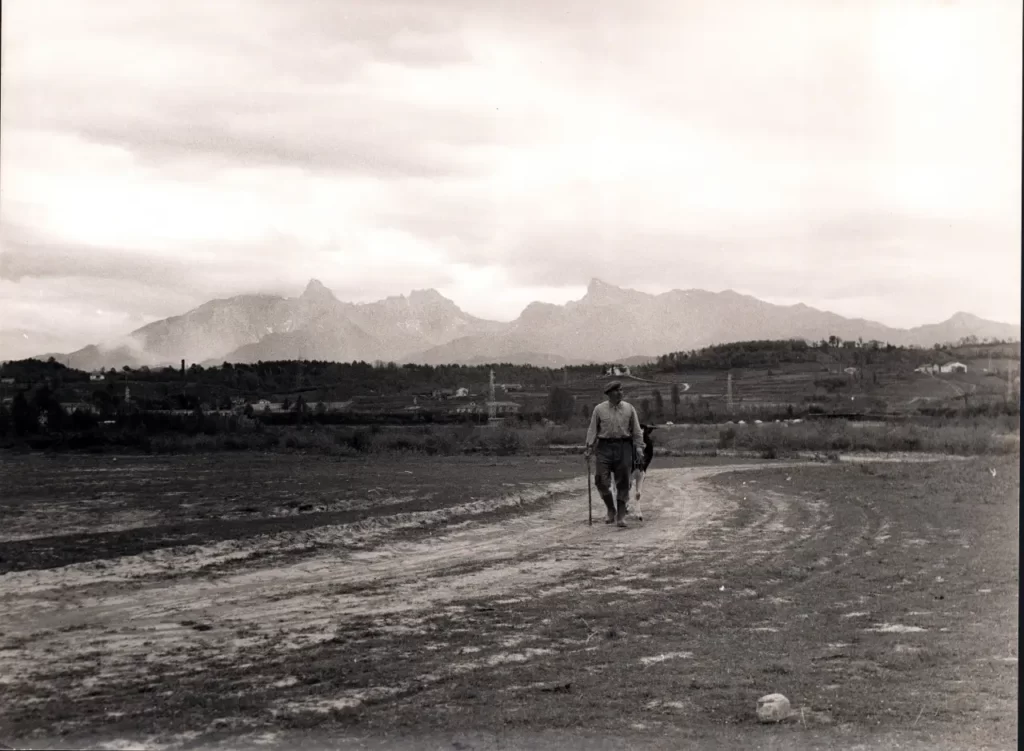 A Quercia una retrospettiva fotografica dedicata a Corrado Malatesta - corrado malatesta, Fotografia