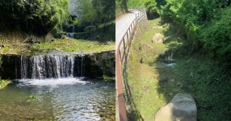 Proseguono i lavori degli operai forestali in Lunigiana - boschi, lavori