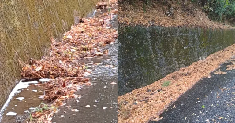 Comune di Podenzana "Alla pulizia delle strade penseremo da soli" - podenzana, pulizia strade