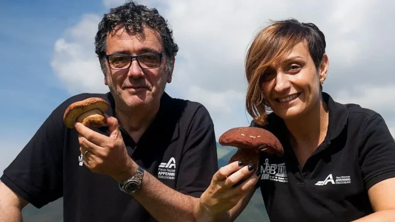 Funghi Parco nazionale Appennino