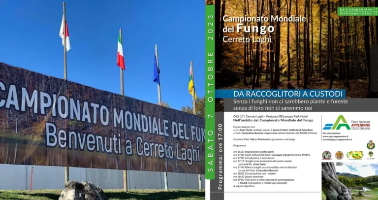 Cerreto si prepara al Campionato Mondiale del fungo Cerreto si prepara al Campionato Mondiale del fungo - boschi, campionato