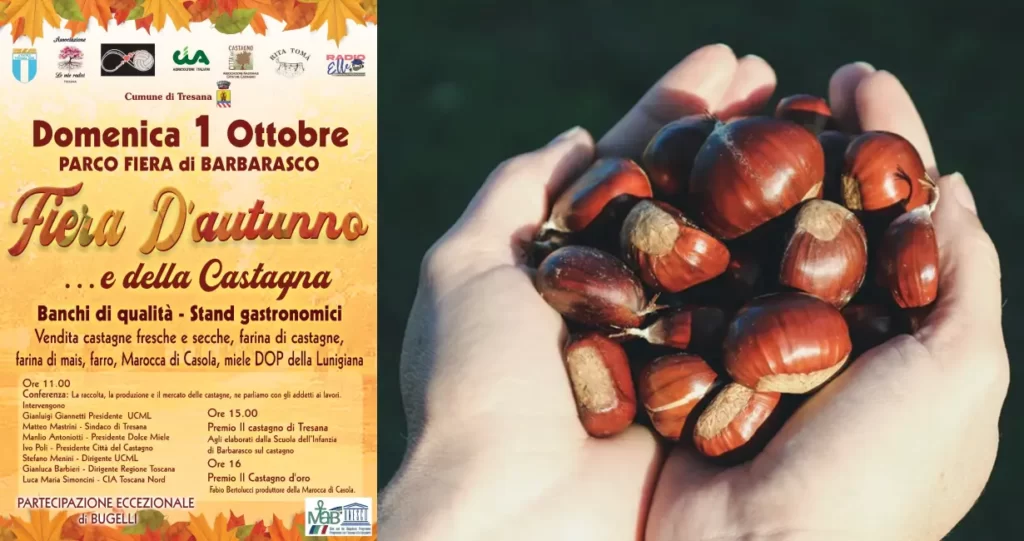 La castagna pane di Lunigiana protagonista della fiera d'autunno a Barbarasco - autunno, castagna