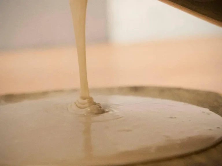 Castagna: iscrizioni aperte a Dolce&Farina un contest dal sapore millenario - castagna, dolce&farina