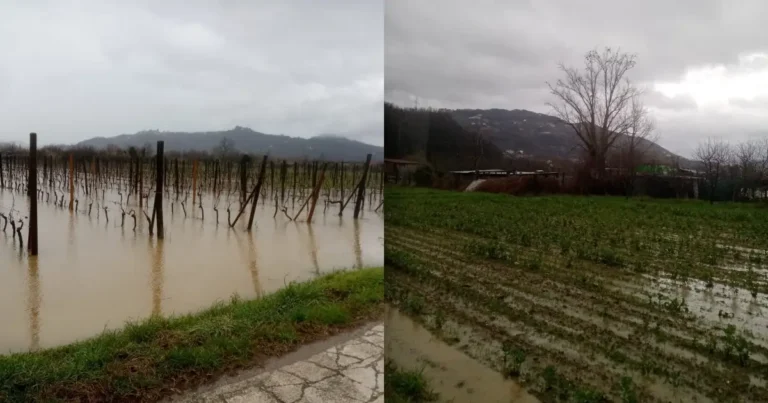 Maltempo: sommersi vigneti e campi coltivati ad Albiano - albiano magra, maltempo