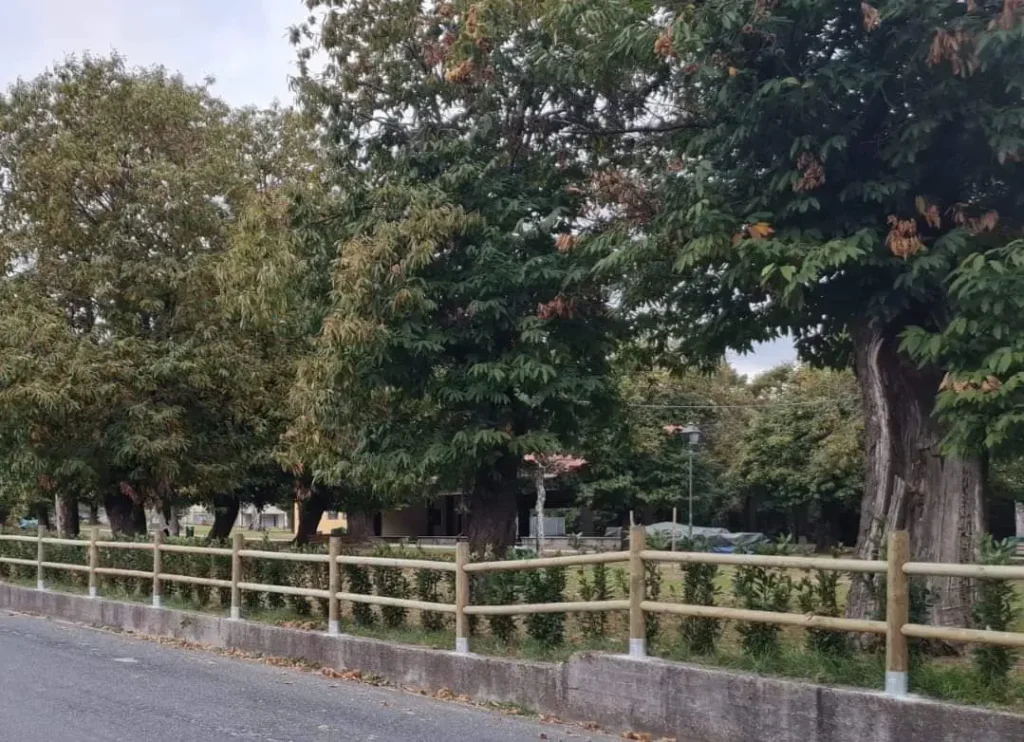 Riqualificazione del Parco Fiera di Barbarasco: partono i lavori - barbarasco, parco