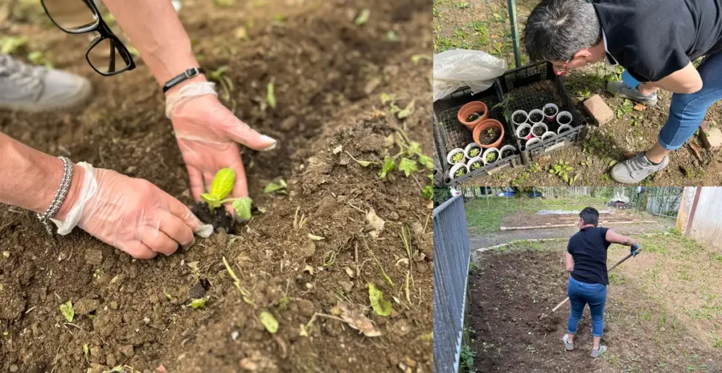 “Nonni giardinieri” con l’ortoterapia nella RSA Sanatrix di Aulla "Nonni giardinieri" con l'ortoterapia nella RSA Sanatrix di Aulla - ortoterapia, sanatrix