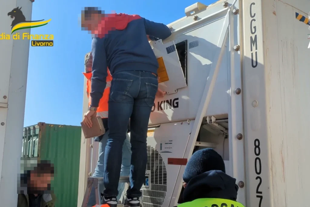 Sequestro di 60 kg di cocaina a Livorno: nascondigli tra le banane  - cocaina, livorno
