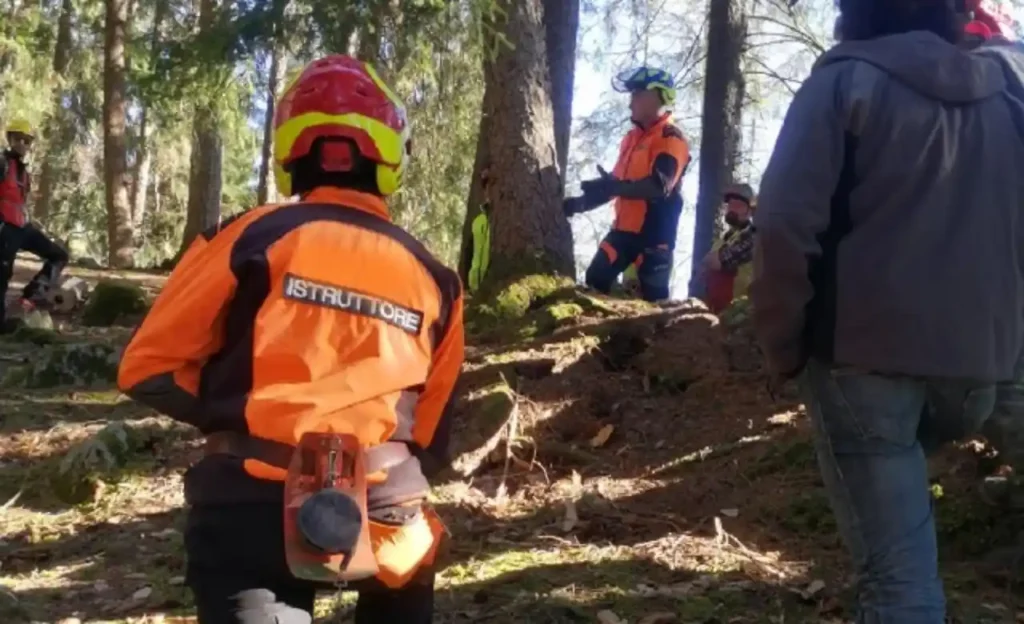 Operai forestali, assegnati agli enti 6,5 milioni come prima tranche dei finanziamenti - operai, Toscana