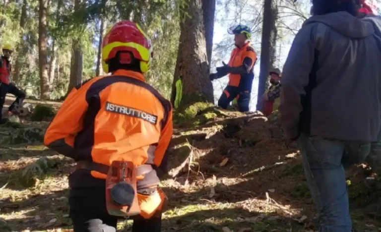 Operai forestali, assegnati agli enti 6,5 milioni come prima tranche dei finanziamenti - operai, Toscana