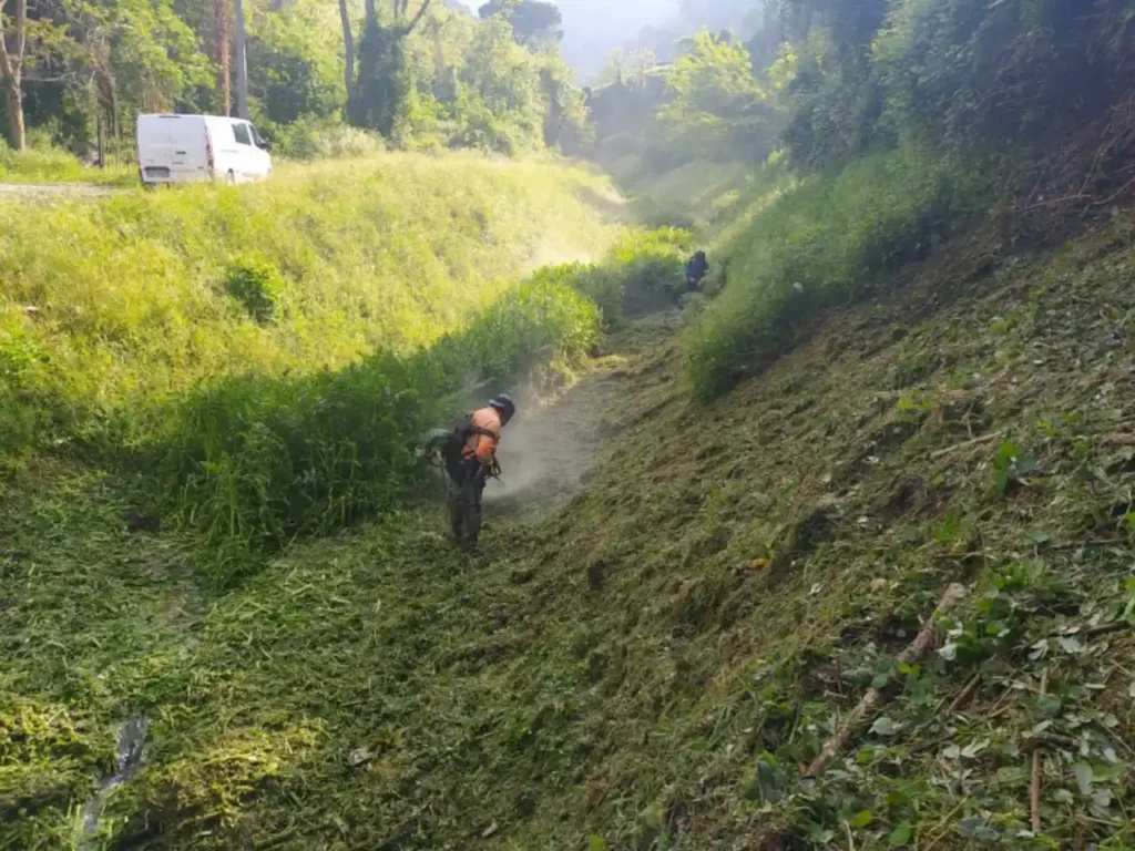 Manutenzione di fiumi, fossi e canali in provincia e in Lunigiana - Manutenzione