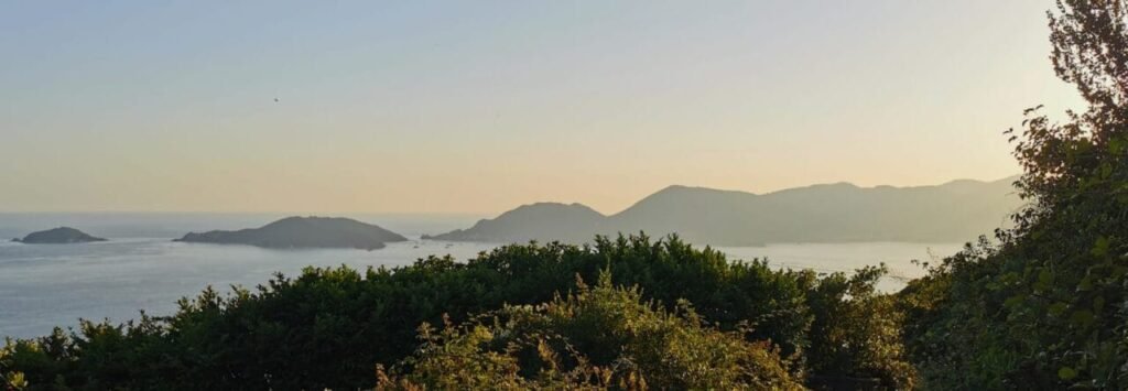 Attorno Vallestrieri. Intervista alla presidente del Parco Eleonora Landini - eleonora landini, Interviste