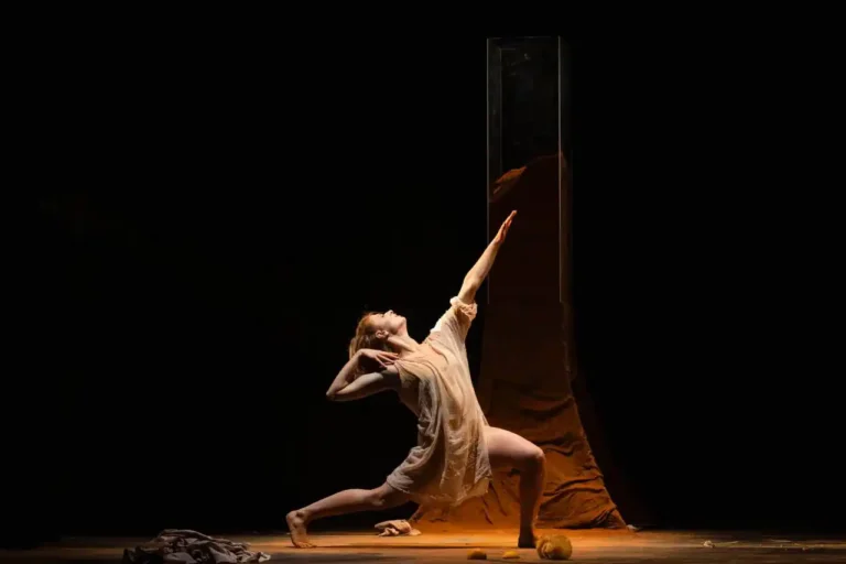 Il programma del teatro degli Animosi a Carrara - animosi, carrara