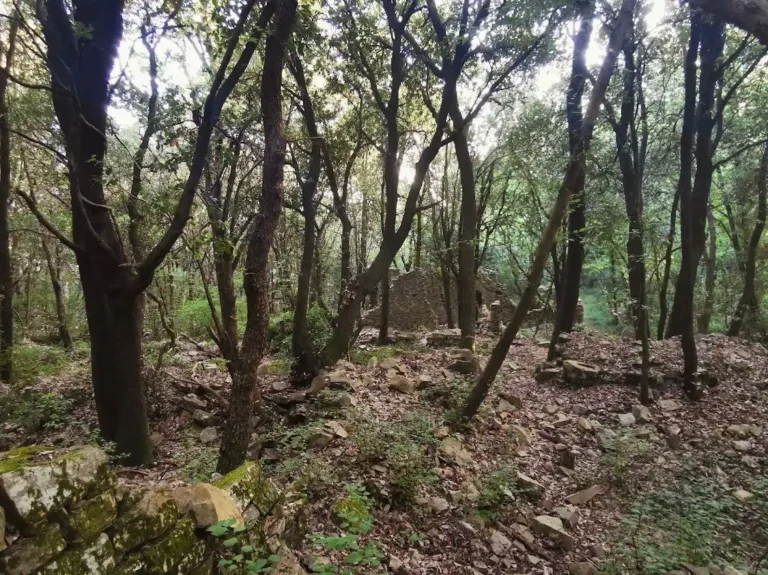 Su Vallestrieri dice la sua la presidente del Parco Eleonora Landini - parco, vallestrieri