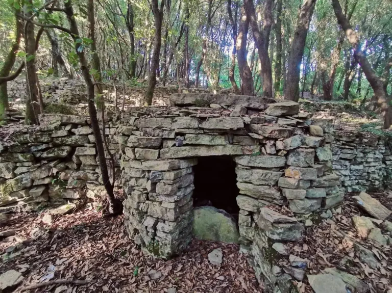 Dalla petizione online al Comitato per la Salvaguardia del Bosco di Vallestrieri - bosco, comitato