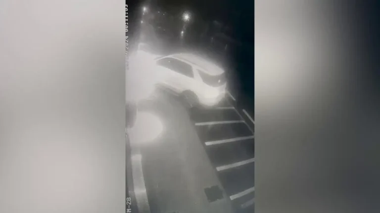 Viareggio, travolge e uccide l’uomo che l’aveva scippata Viareggio, travolge e uccide l’uomo che l’aveva scippata - donna, scippo