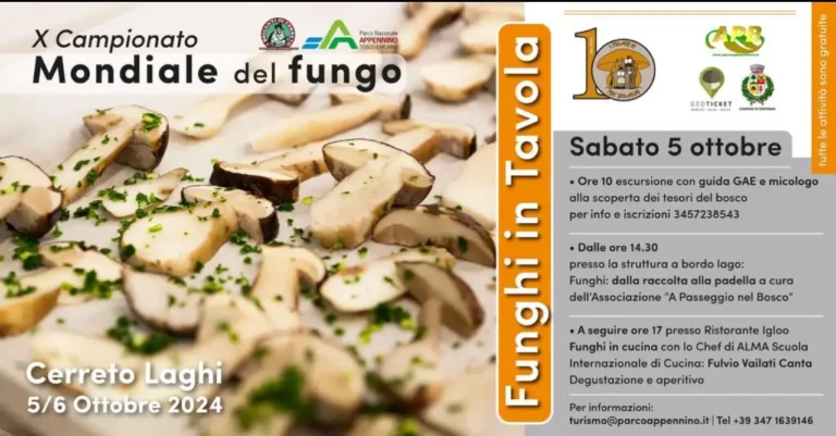 Ecco il Mondiale per il Re dei boschi: il porcino Ecco il Mondiale per il Re dei boschi: il porcino - appennino, campionato mondiale