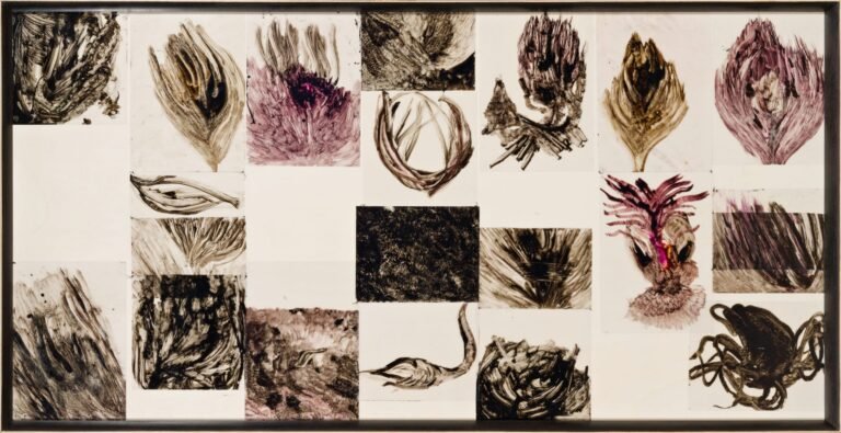 A Milano Greta Affanni, Organic Flows. Intervista - arte contemporanea, Disegno