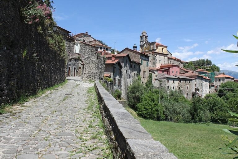 Celebrazioni malaspiniane a Mulazzo - celebrazioni, malaspina