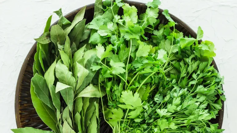 Un corso teorico-pratico per riconoscere e cucinare le erbe spontanee - cucina, erbe spontanee