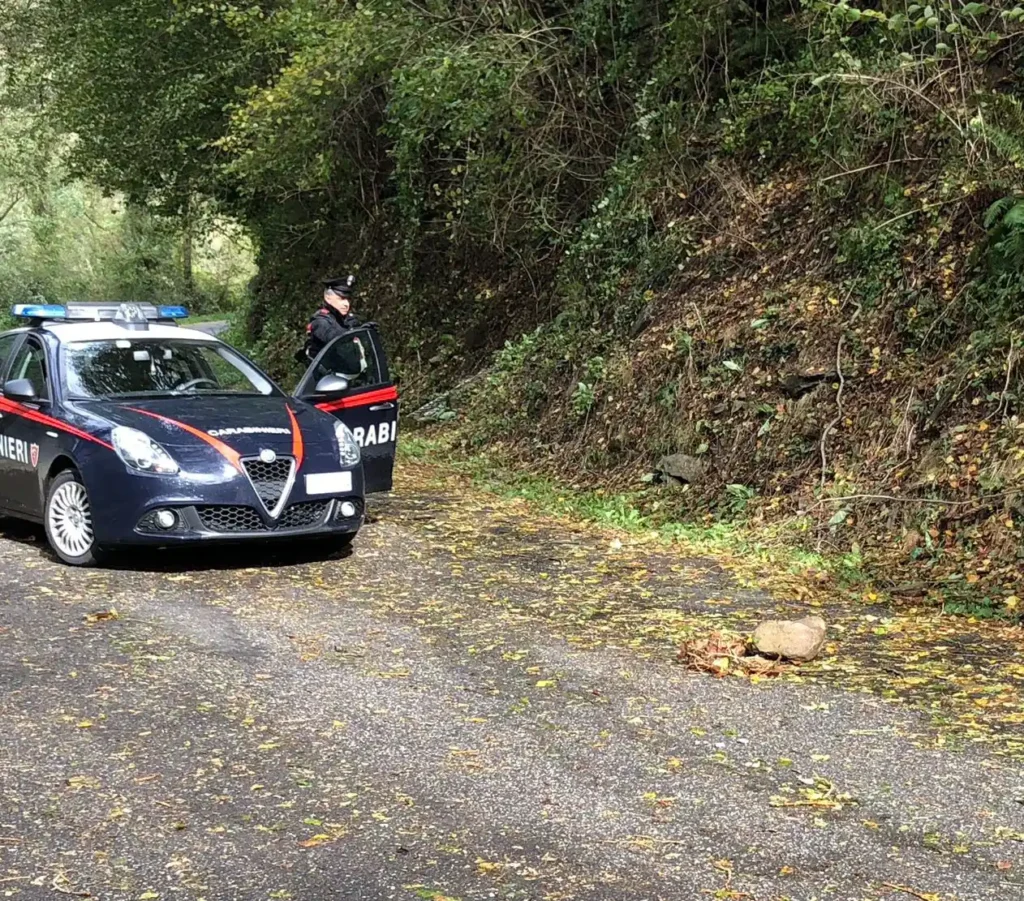 arresto arresto | carabinieri | droga