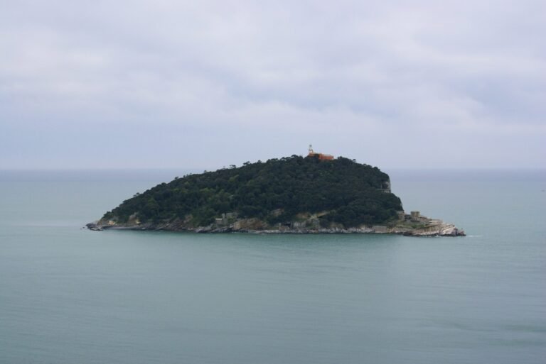 La Marina cerca partner a cui affidare il Tino in "gestione". Gratuitamente -