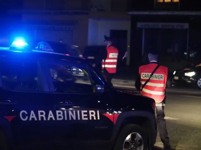 Direzione Distrettuale Antimafia: operazione contro il traffico di stupefacenti - antimafia, carabinieri