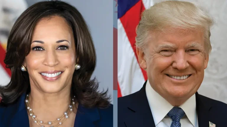 USA al voto, quali sono i 7 stati chiave e perché tenerli d'occhio? - donald trump, elezioni