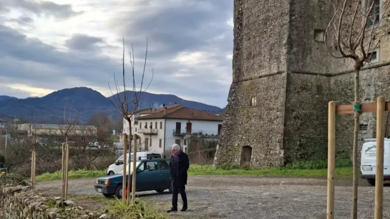 Nuovi alberi ad arricchire il castello di Terrarossa - alberi, consorzio bonifica
