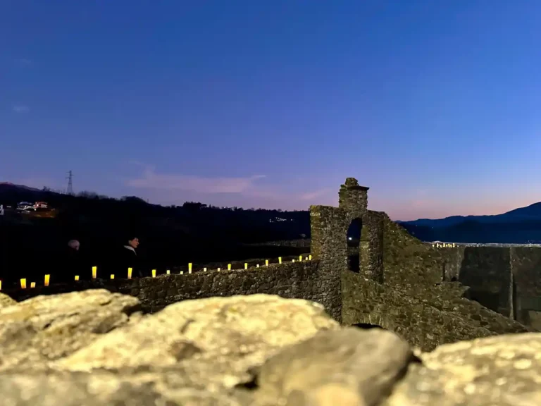 Un 2024 da record per il Museo delle Statue Stele Lunigianesi - museo, Pontremoli