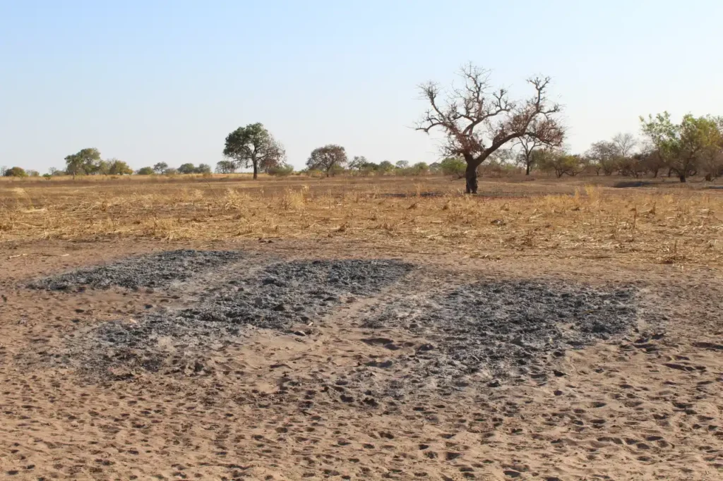 Gocce di Sorriso, da Spezia al Senegal, c'è una raccolta fondi per aiutarli a ricostruire – Immagine dell'articolo Gocce di Sorriso, da Spezia al Senegal, c'è una raccolta fondi per aiutarli a ricostruire - la spezia, raccolta fondi