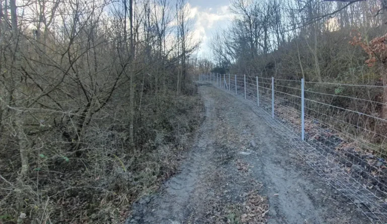 Nuove recinzioni lungo la A15 Parma - La Spezia per contenere gli spostamenti dei cinghiali - a 15, cinghiali