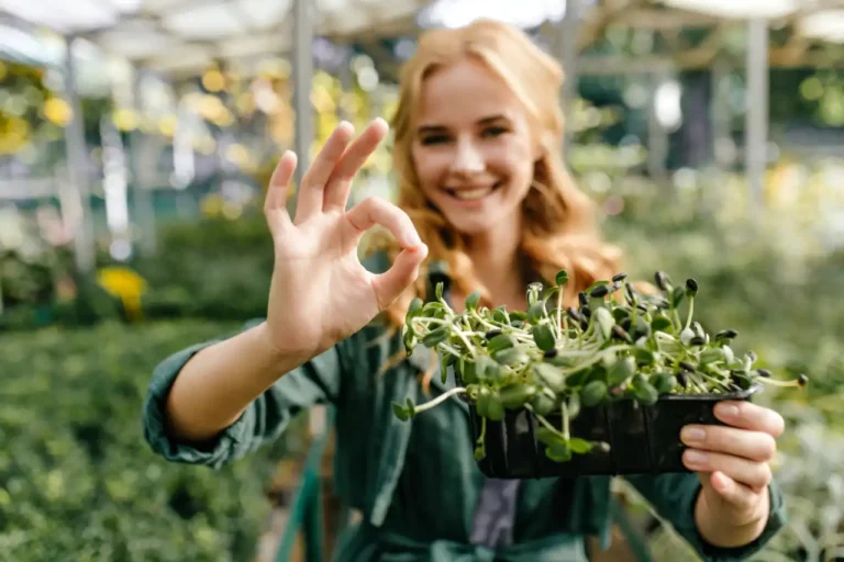 Nuove imprese agricole in provincia, nove su dieci sono in Lunigiana - agricoltura, coldiretti