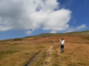 Tutelare gli impollinatori selvatici, un progetto del Parco Appennino - appennino, impollinatori