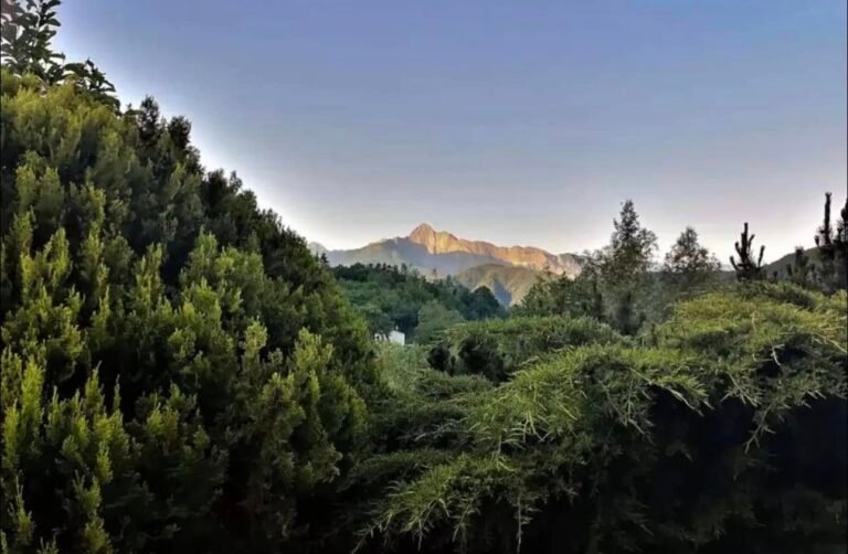 Il primo ÖÖD Hotel italiano sorgerà in Lunigiana: Paolo Scoglio / the ne[s]t living firma la struttura - architettura, casola